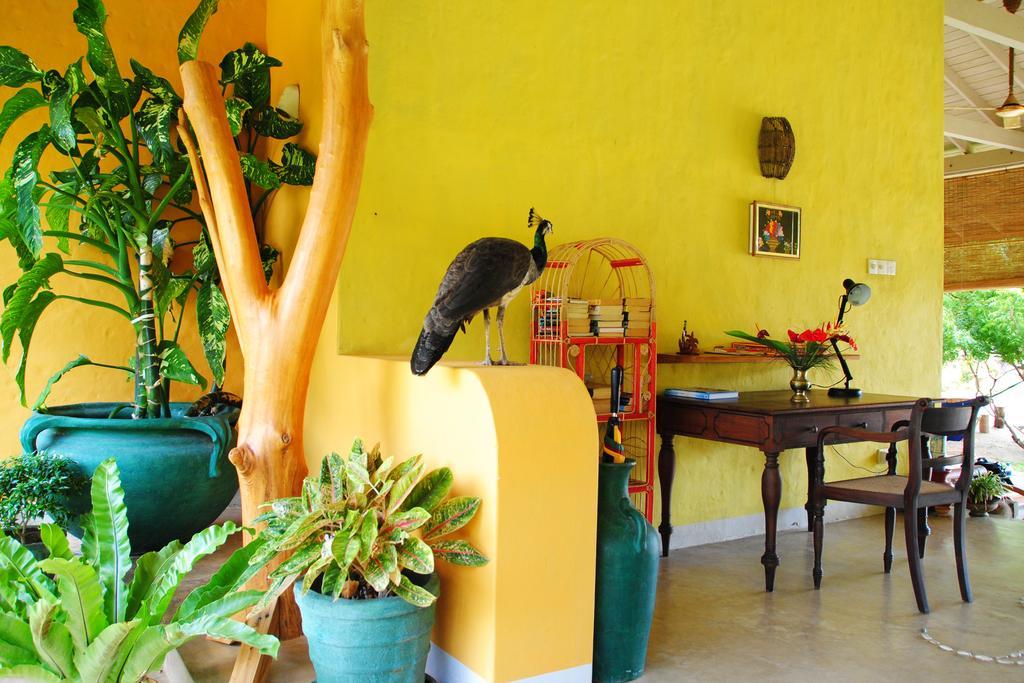 Khomba Beach House Alankuda Extérieur photo